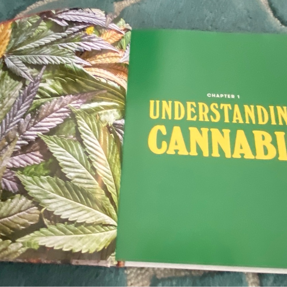 New SUGAR HIGH Dessert Recipe Book